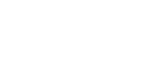 Stake logo